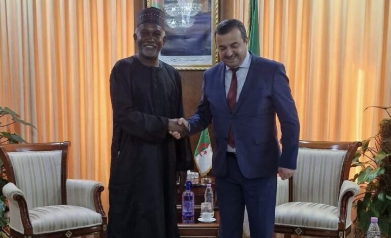 Nigeria, Algeria Deepen Diplomatic Ties with Fresh Commitments and Embassy Upgrade