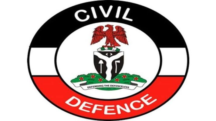 Civil Defense Arrests Six Suspected Electricity Cable Vandals in Kano